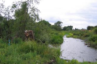 Barton pool, Derbyshire Wildlife Trust 