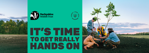 text on image reads it's time to get really hands on with a group of people planting a tree