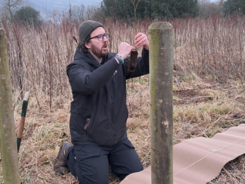 a man demonstrating planting tree whips