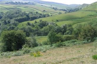 Long Clough, Sam Willis 