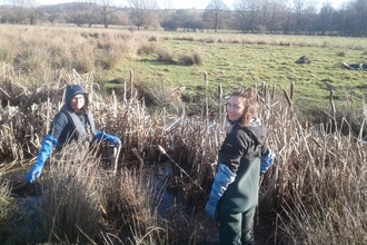 Working for nature trainees clearing reeds