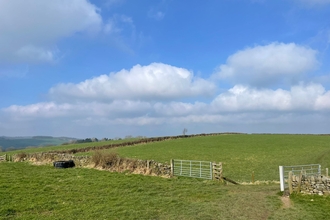 fields with hedgerows and gates