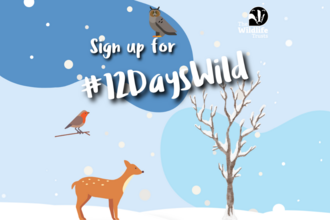 sign up for 12 days wild