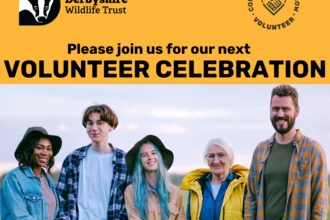 an image of the volunteer celebration flyer