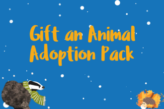 Gift an Animal Adoption Pack