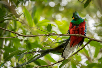 Costa Rica