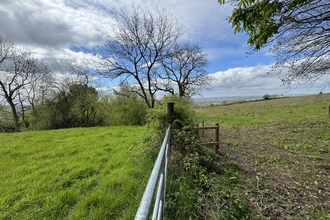 A fence splitting the image between two fields with trees in the background and blue skies