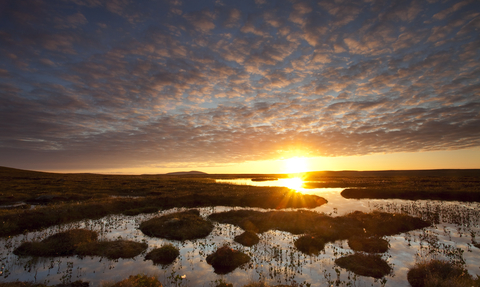 Sunsetting over peatland