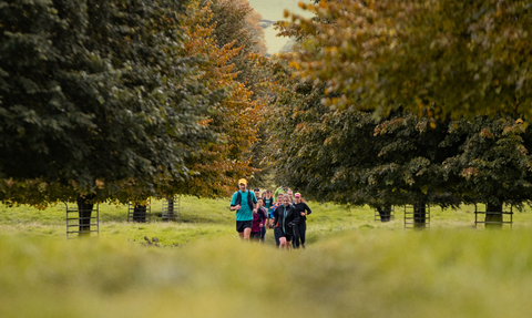 runners heading towards the camera between trees