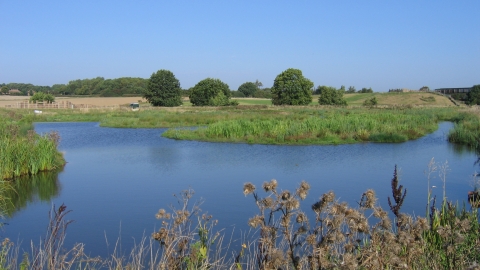 The Avenue Washlands, Steve Price