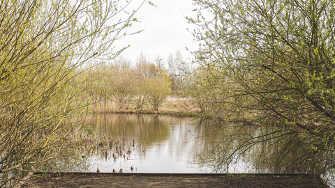 Derwent Meadows pond