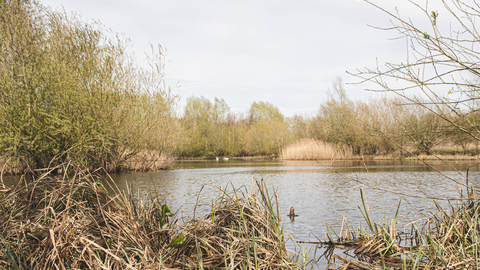 Derwent Meadows pond