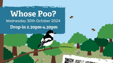 A poster with the details of the whose poo event in Allestree