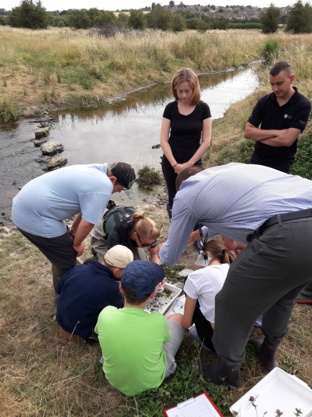 Norbriggs river dipping