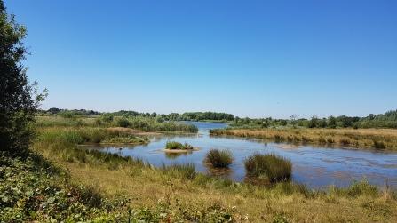 Willington Nature Reserve