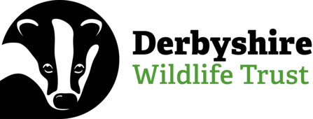 Derbyshire Wildlife Trust logo 2022