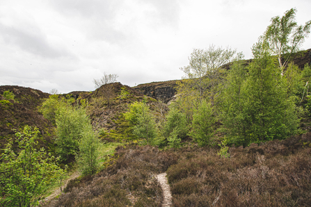 Wild Peak Project: Holybank Quarry | Derbyshire Wildlife Trust