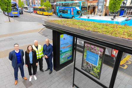 Bee Bus Stop 