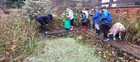 Bramley Vale School pond clearance