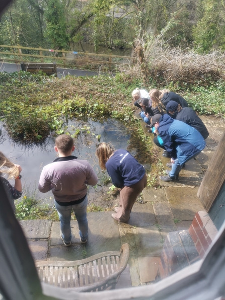 A group of people looking into a pond