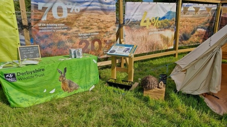 A photograph of the Trust's stall at Glastonbury