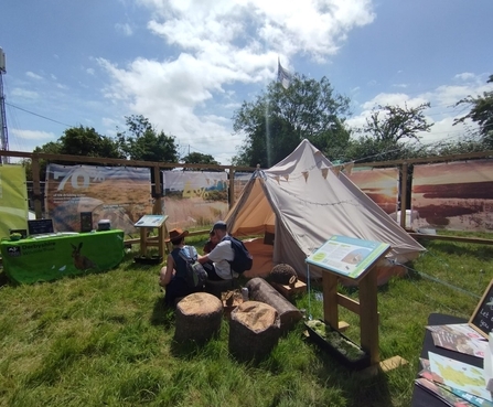 A photograph of the Trust's stall at Glastonbury