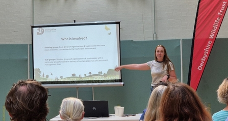 A photograph of the Wooded Habitat Creation Workshop at Darley Dale 