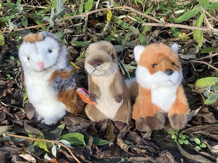 barn owl, beaver and fox soft toys sat in some bushes