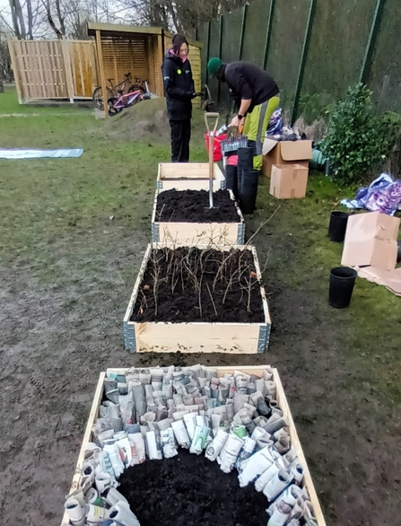 tree nursery in box soil beds