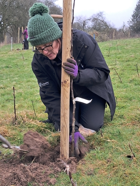 A woman planting a tree