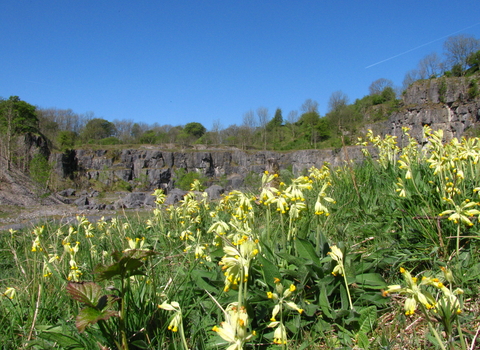 Chee Dale quarry, Shoshanah Crookes