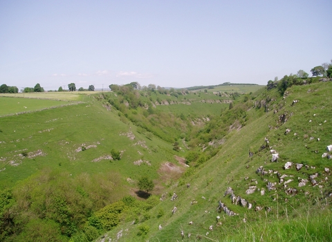 Deep Dale, Derbyshire Wildlife Trust 