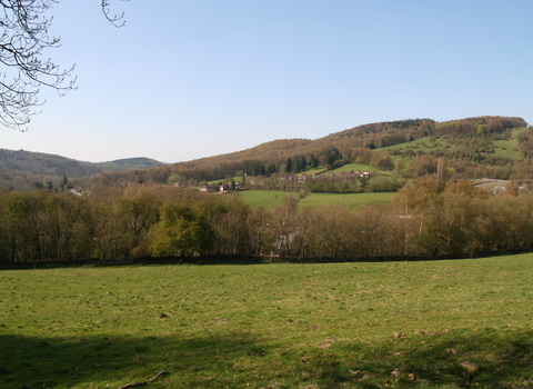 Church Chase Nature Reserve page