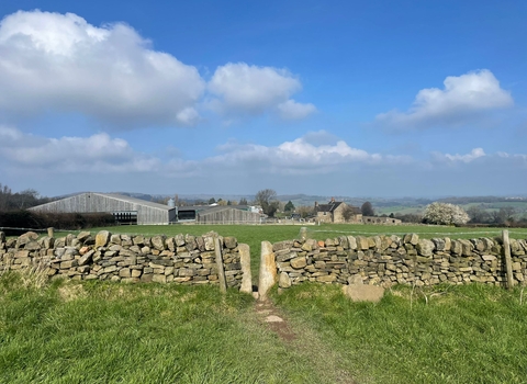 the view of farm buildings in the background with a dry stone wall in the foreground and a blue sky with a couple of clouds