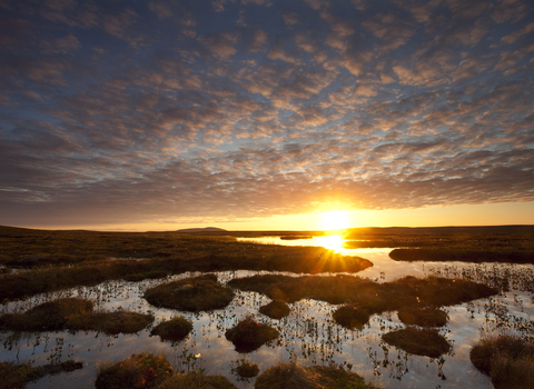 Sunsetting over peatland